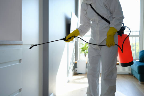 Best Mold Remediation for Healthcare Facilities  in Hallsville, MO